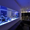 Bespoke in-wall marine aquarium