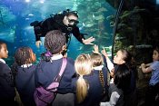 Photoshoot for the BBC at the London Aquarium