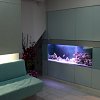 In wall aquarium in Dental Practice waiting room
