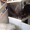 Aquarium moving service